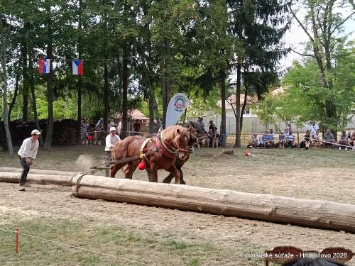 IMG_20260801_155530